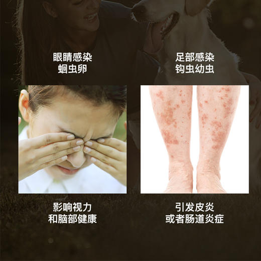 壹米动保-体外驱虫滴剂跳蚤 4个规格，安全有效！宠物猫除跳蚤蜱虫螨虫线虫去虱子 猫用-0.5ml 商品图4