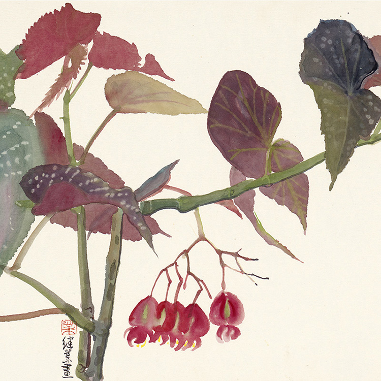 薛继业高仿微喷版画《竹节海棠》