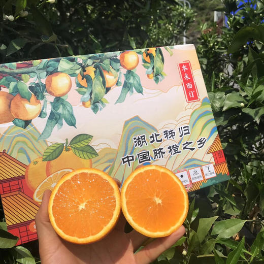伦晚橙脐橙中的精品细嫩多汁一件约8斤礼盒装广西区包邮