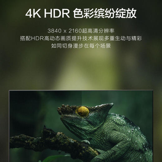 海尔（Haier）电视65V31 商品图5