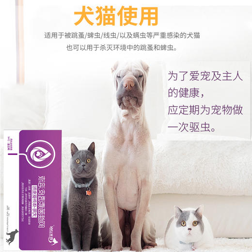 壹米动保-体外驱虫滴剂跳蚤 4个规格，安全有效！宠物猫除跳蚤蜱虫螨虫线虫去虱子 猫用-0.5ml 商品图6