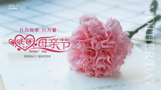 母亲节快乐 商品图0