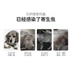 壹米动保-体外驱虫滴剂跳蚤 4个规格，安全有效！宠物猫除跳蚤蜱虫螨虫线虫去虱子 猫用-0.5ml 商品缩略图2
