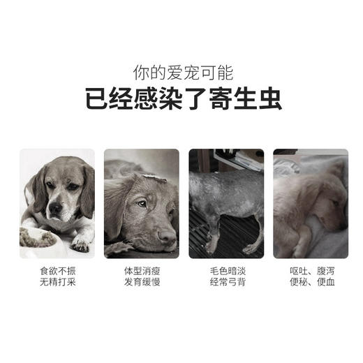 壹米动保-体外驱虫滴剂跳蚤 4个规格，安全有效！宠物猫除跳蚤蜱虫螨虫线虫去虱子 猫用-0.5ml 商品图2