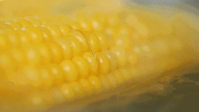 高效减脂餐第①天 商品图0