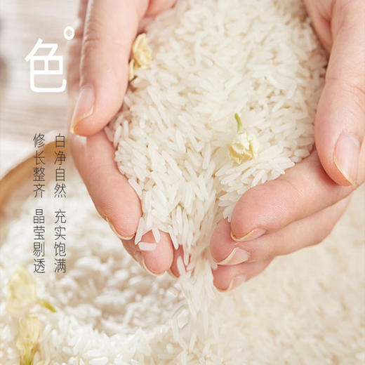 江西米香粘籼米5kg 商品图1