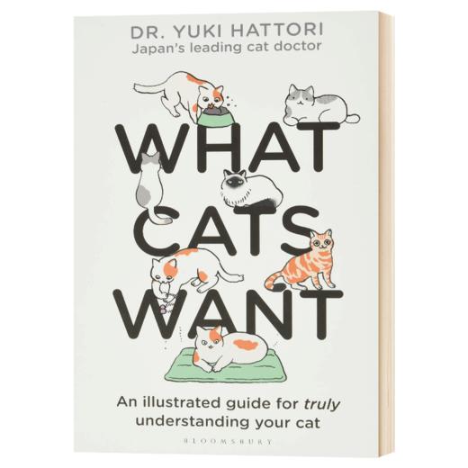 猫咪要什么 英文原版 What Cats Want 插图版 宠物 动物行为 科普绘本 Yuki Hattori 英文版进口原版英语书籍 商品图0