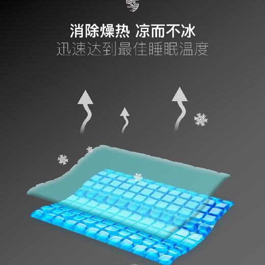 价值13000 保时捷生活系列4D高端凝胶枕 改善睡眠 120块立体凝胶块+18个透气孔+24条纵横导热轨道+DOW PUT抗菌膜+SLEEP CHIP-18睡眠芯片 拍两个减120 预售 商品图2
