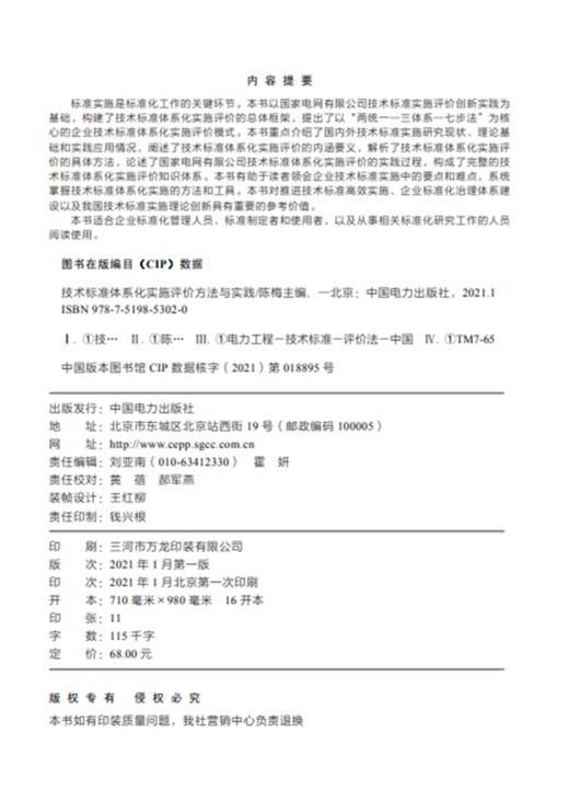 技术标准体系化实施评价方法与实践 商品图3