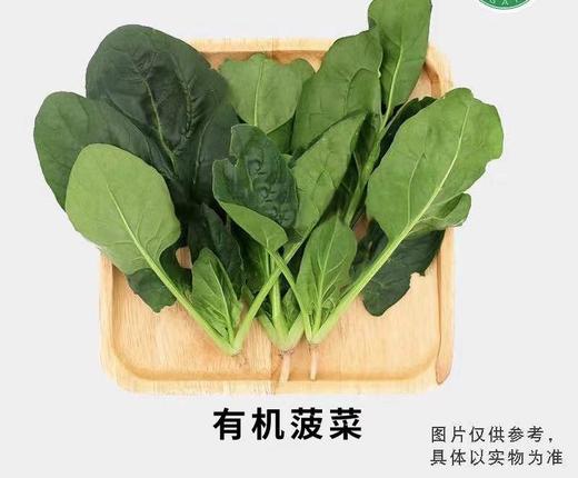 有机菠菜（300g） 商品图0