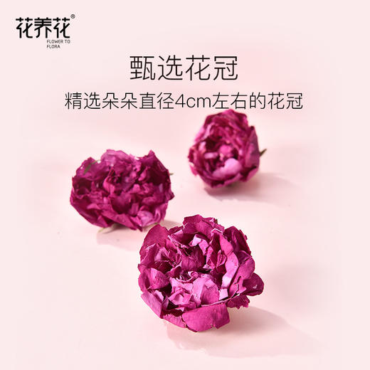 【积分兑换】花养花x荣宝斋联名款 冻干单朵玫瑰鲜花茶10g 商品图2