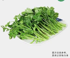 有机香菜（300g/份）