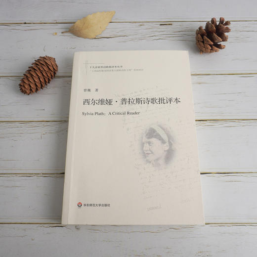 西尔维娅·普拉斯诗歌批评本 十九首世界诗歌批评本丛书 普拉斯诗歌研究 商品图1