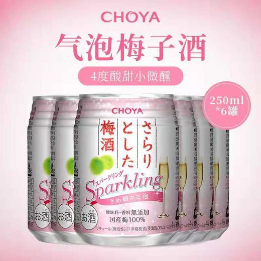 【俏雅日本进口梅酒】 250ml*6瓶 商品图0