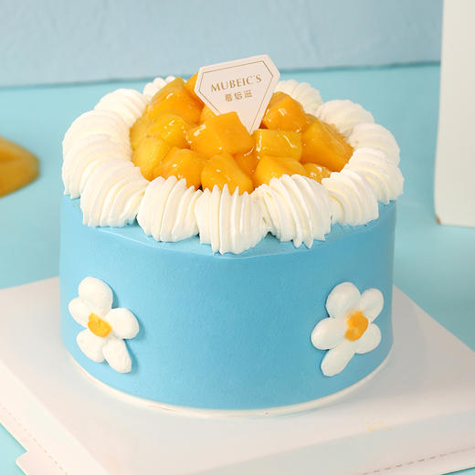 蓝色雏菊R20 商品图0