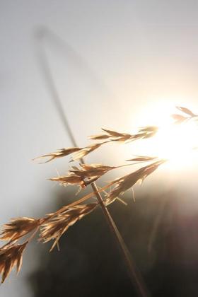 直播测试频道不存在