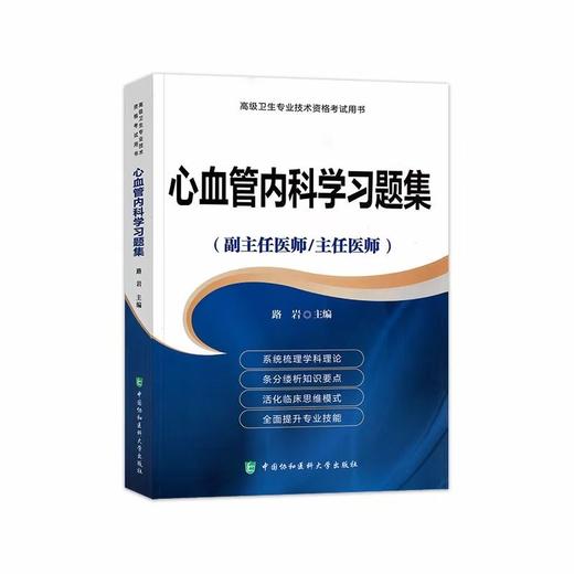 主任医师/副主医师考试用书-习题集 商品图1