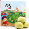 马连庄甜瓜 商品缩略图3