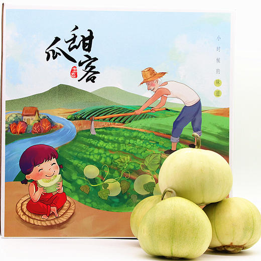 马连庄甜瓜 商品图3