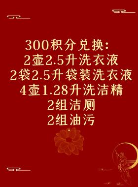 2壶2.5升洗衣液+2袋2.5升袋装洗衣液+4壶1.28升洗洁精+2组洁厕+2组油污