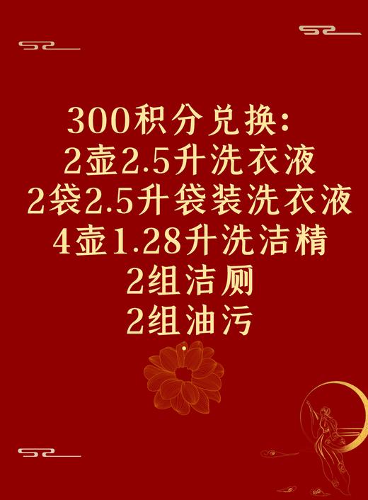 2壶2.5升洗衣液+2袋2.5升袋装洗衣液+4壶1.28升洗洁精+2组洁厕+2组油污 商品图0