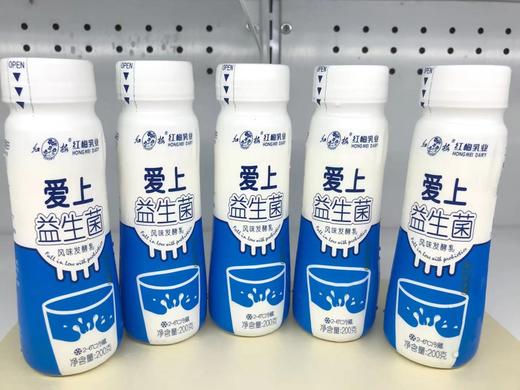 红梅乳业 爱上益生菌风味发酵乳 200克/瓶 12瓶/箱 商品图1