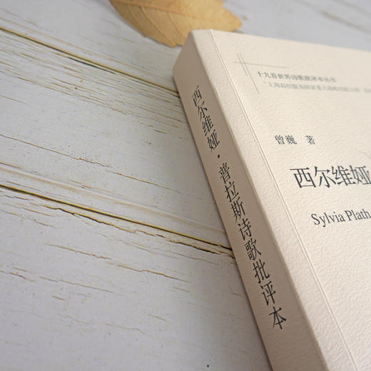 西尔维娅·普拉斯诗歌批评本 十九首世界诗歌批评本丛书 普拉斯诗歌研究 商品图2