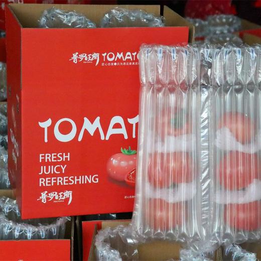 挑剔虎普罗旺斯西红柿 商品图5