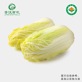 有机娃娃菜（300g/份）