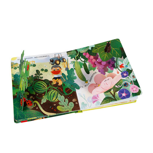 乐乐趣揭秘小世界--四季 商品图2