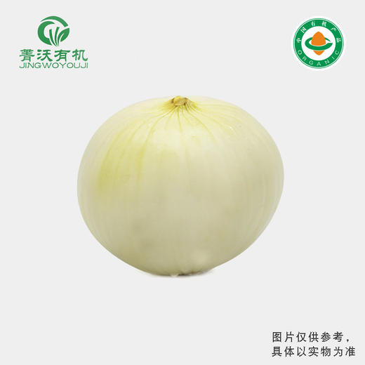 有机白洋葱（300g/份） 商品图0