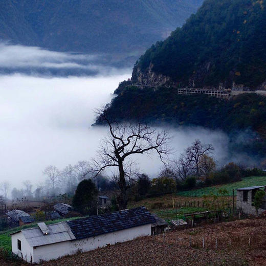 【进藏第七线】驶向丙察察—转入丙察左—独龙江—终极越野大环线 商品图5