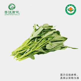 有机空心菜（300g/份）
