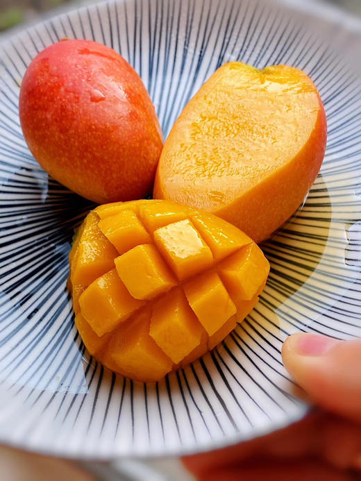 〔产地直发包邮04〕海南贵妃芒果 商品图1