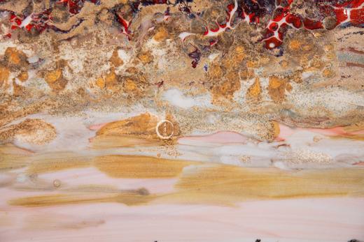 珐琅彩新彩结合富贵祥和赏盘 商品图7