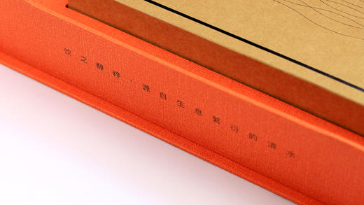 2019·漭水熟砖 商品图2