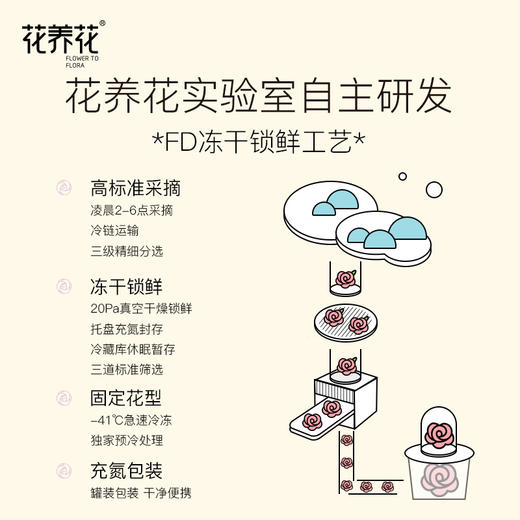 【积分兑换】花养花x荣宝斋联名款 冻干单朵玫瑰鲜花茶10g 商品图1