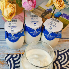 新疆马三三原味老酸奶  益生菌发酵  无添加更健康180g*12杯  顺丰直达