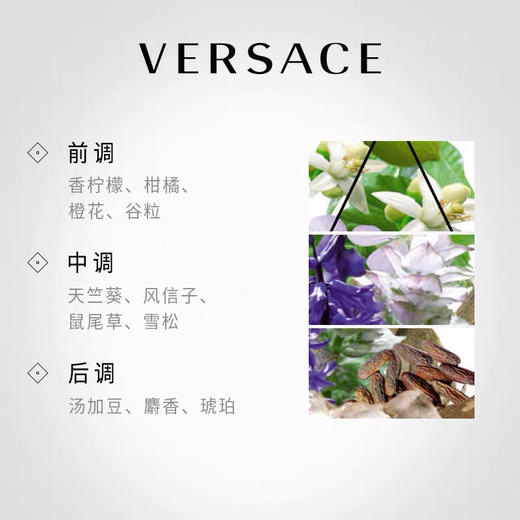 【海关保税直发】Versace/范思哲经典同名男士淡香水清新-会员5折 商品图3