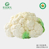 有机松花菜（300g/份） 商品缩略图0