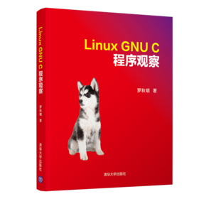 Linux GNU C 程序观察