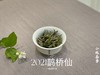茶友们心心念的2021一级白牡丹《鹊桥仙》来了（100克罐装） 商品缩略图3