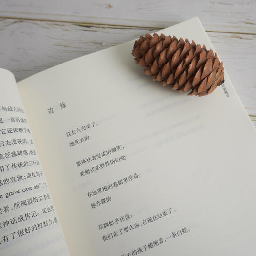 西尔维娅·普拉斯诗歌批评本 十九首世界诗歌批评本丛书 普拉斯诗歌研究 商品图3