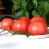 挑剔虎普罗旺斯西红柿 商品缩略图0