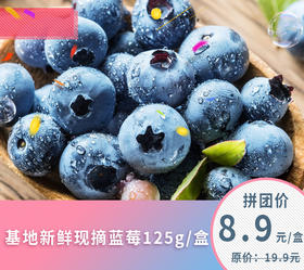 基地新鲜现摘蓝莓/125g盒
