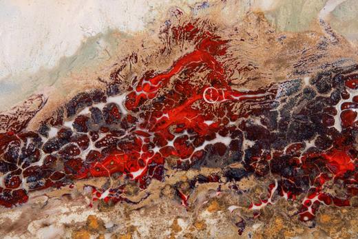 珐琅彩新彩结合富贵祥和赏盘 商品图6