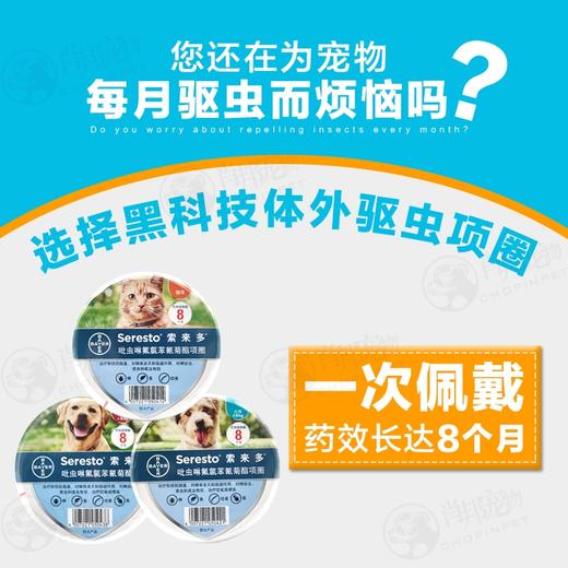 拜耳索来多驱项圈 猫咪/狗狗 夏季必备猫咪狗狗体外驱虫 商品图1