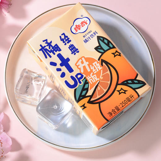 摩奇酸橘汁饮料250ml 商品图0