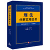 刑法分解实用全书：根据刑法修正案（十一）新修订 郑可悌 商品缩略图0