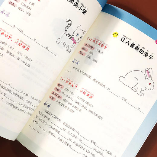 小学生看图写话 两步入门：全彩注音版 商品图5